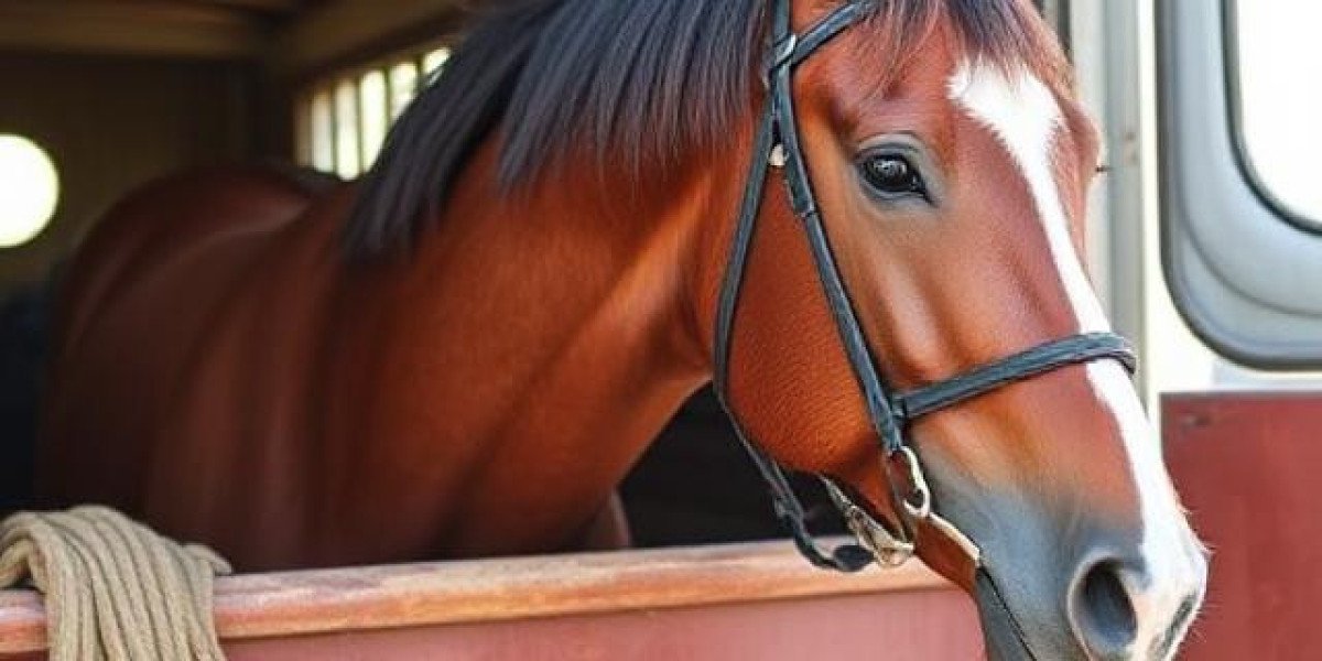 Safe & Reliable Horse Transportation in California | Rocking Y Ranch