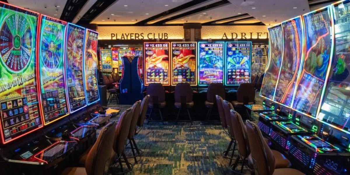 Avoid The highest 10 テッドベット会員 Mistakes