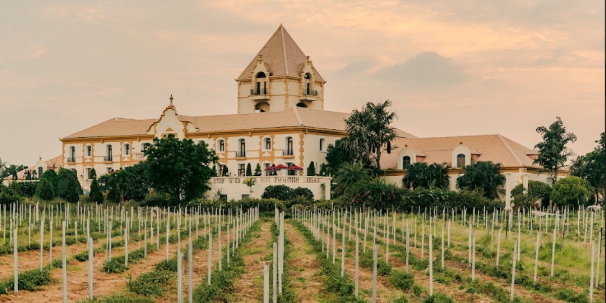 Hotel Irada: Pune’s Hidden Gem of Wine Country Luxury