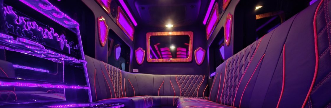 Niagara Falls Limo Cover Image