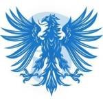 Falcon tour Travel Profile Picture