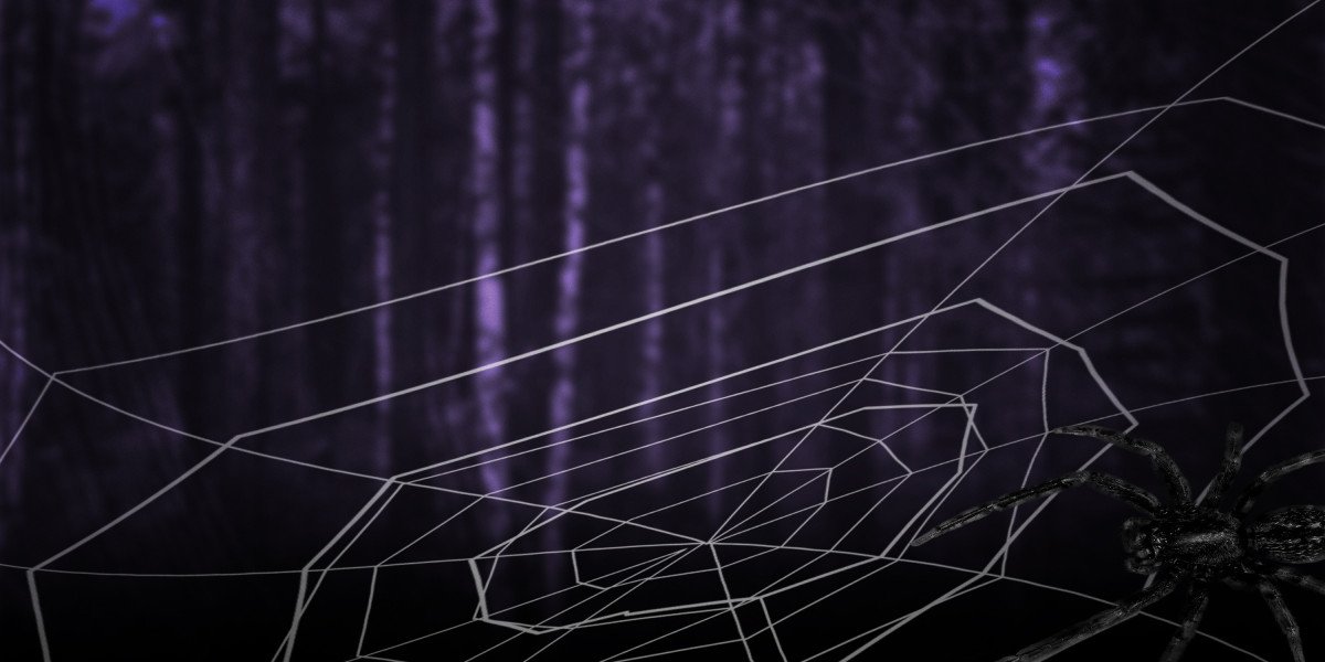 Understanding Cash Loans No Credit Check: A Comprehensive Information