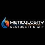 MeticulocityCleaning Profile Picture