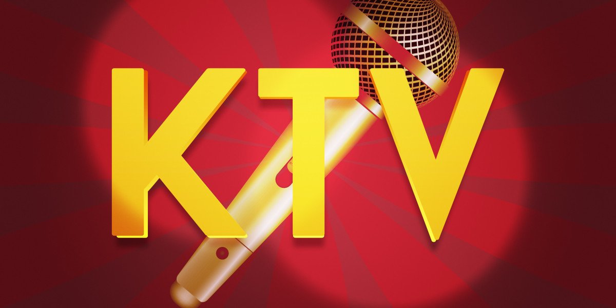 Observational Insights into NetJets: The Evolution of Private Aviation