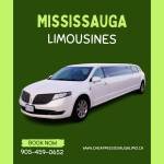 Mississauga Limo Profile Picture