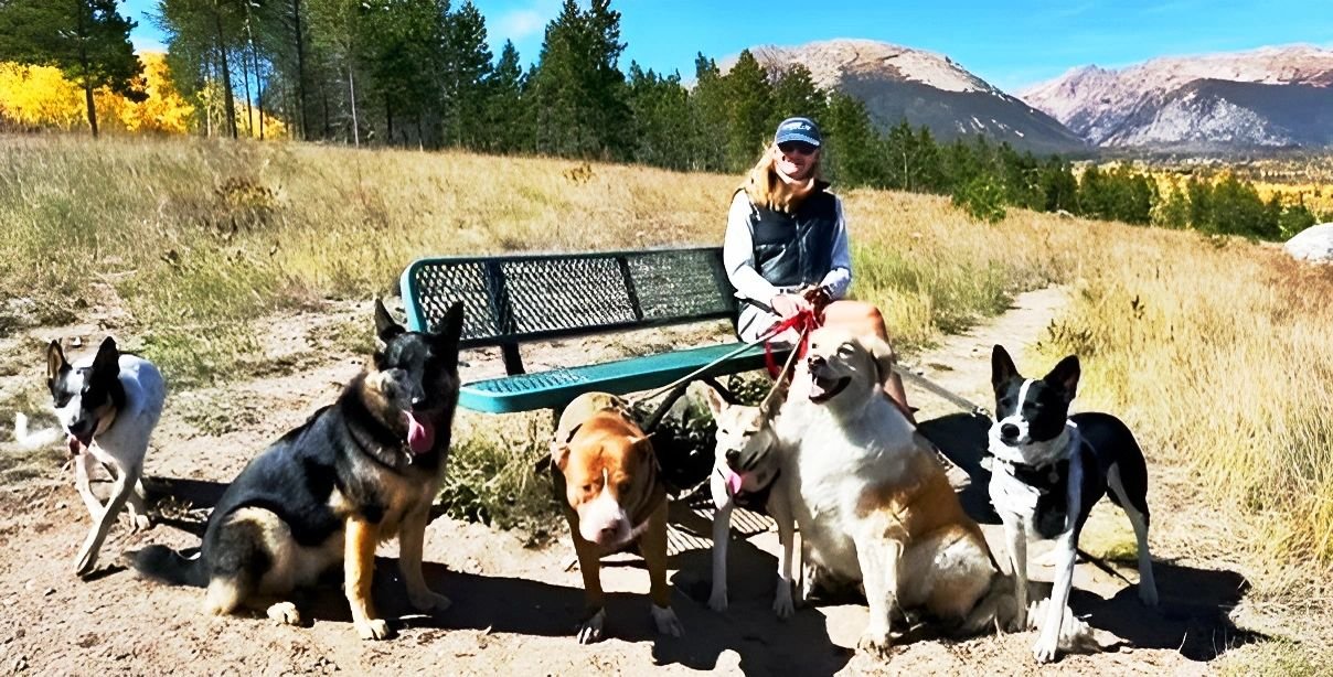 Pet Sitter Services Near Me | Dog Walker & Cat Sitting