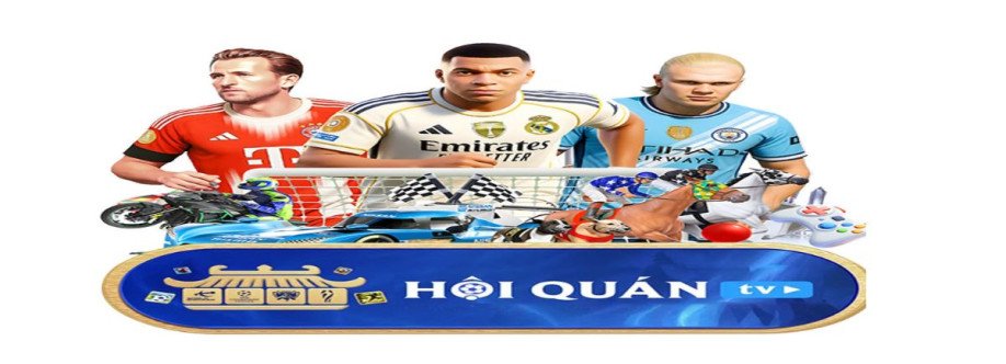 Hoiquantv 247com Cover Image